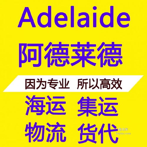 七臺河酷易搜代理代辦服務全解析