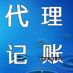 專業公司及個體工商戶注銷代理服務詳解 流程、優勢與選擇指南